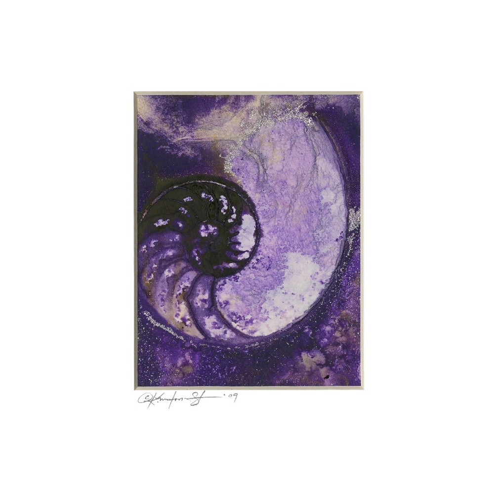 Sea Shell Watercolor Painting - Nautilus Shell 938